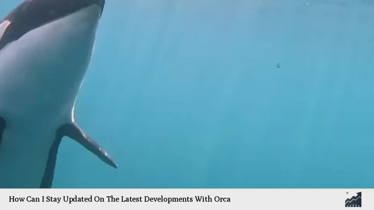 How Can I Stay Updated On The Latest Developments With Orca