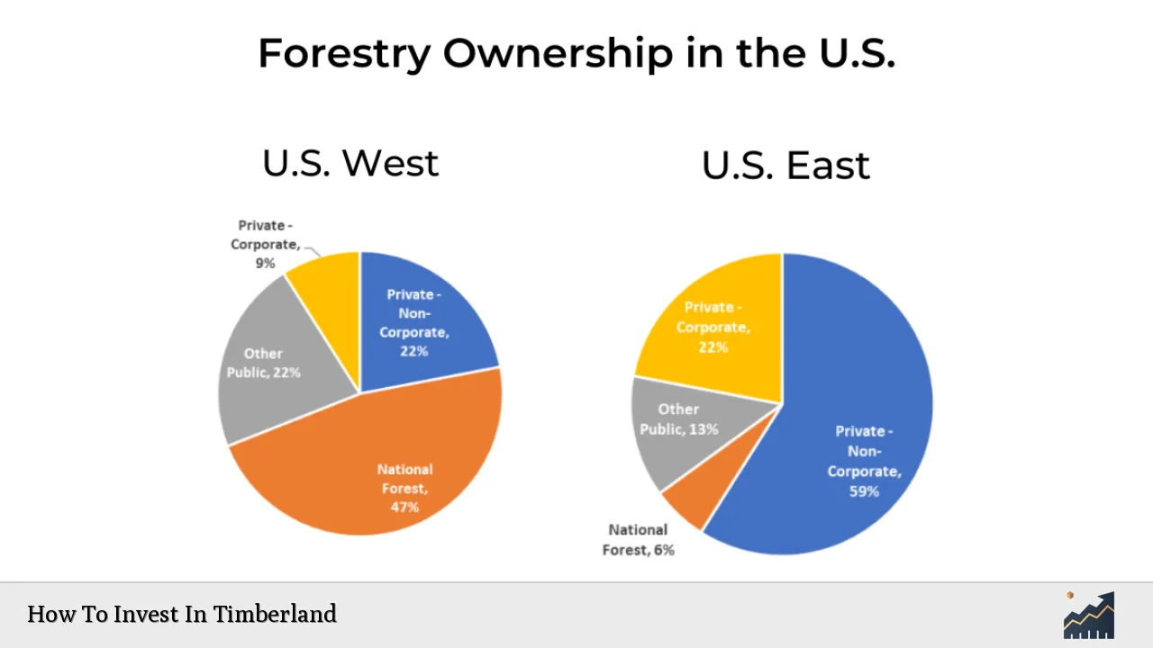 How To Invest In Timberland