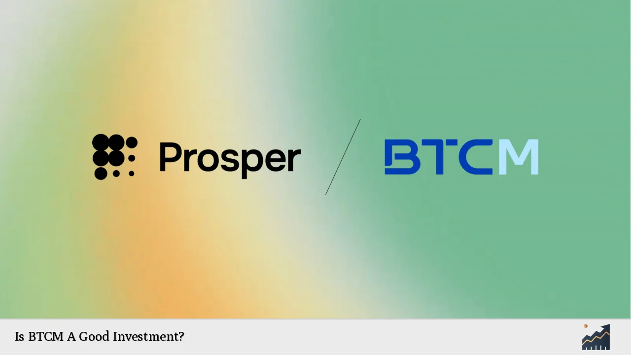 Is BTCM A Good Investment?