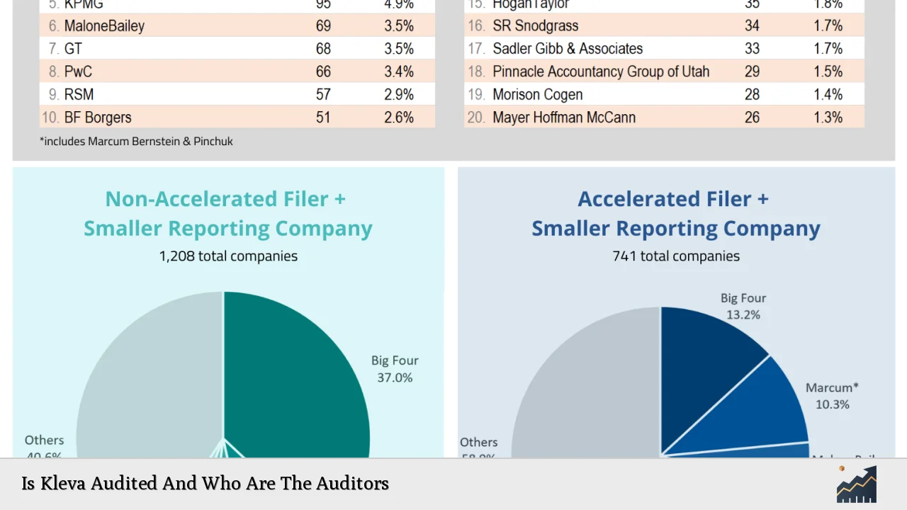 Is Kleva Audited And Who Are The Auditors