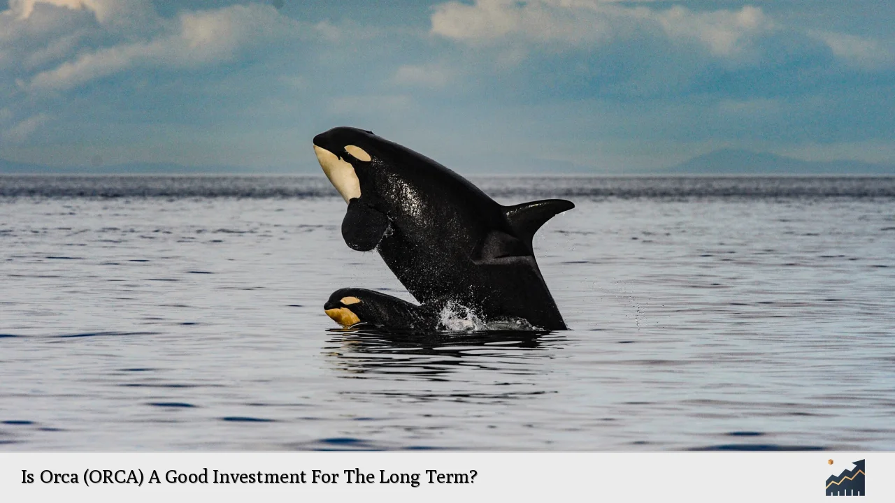 Is Orca (ORCA) A Good Investment For The Long Term?