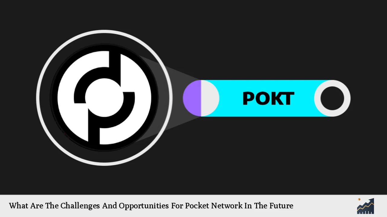 What Are The Challenges And Opportunities For Pocket Network In The Future