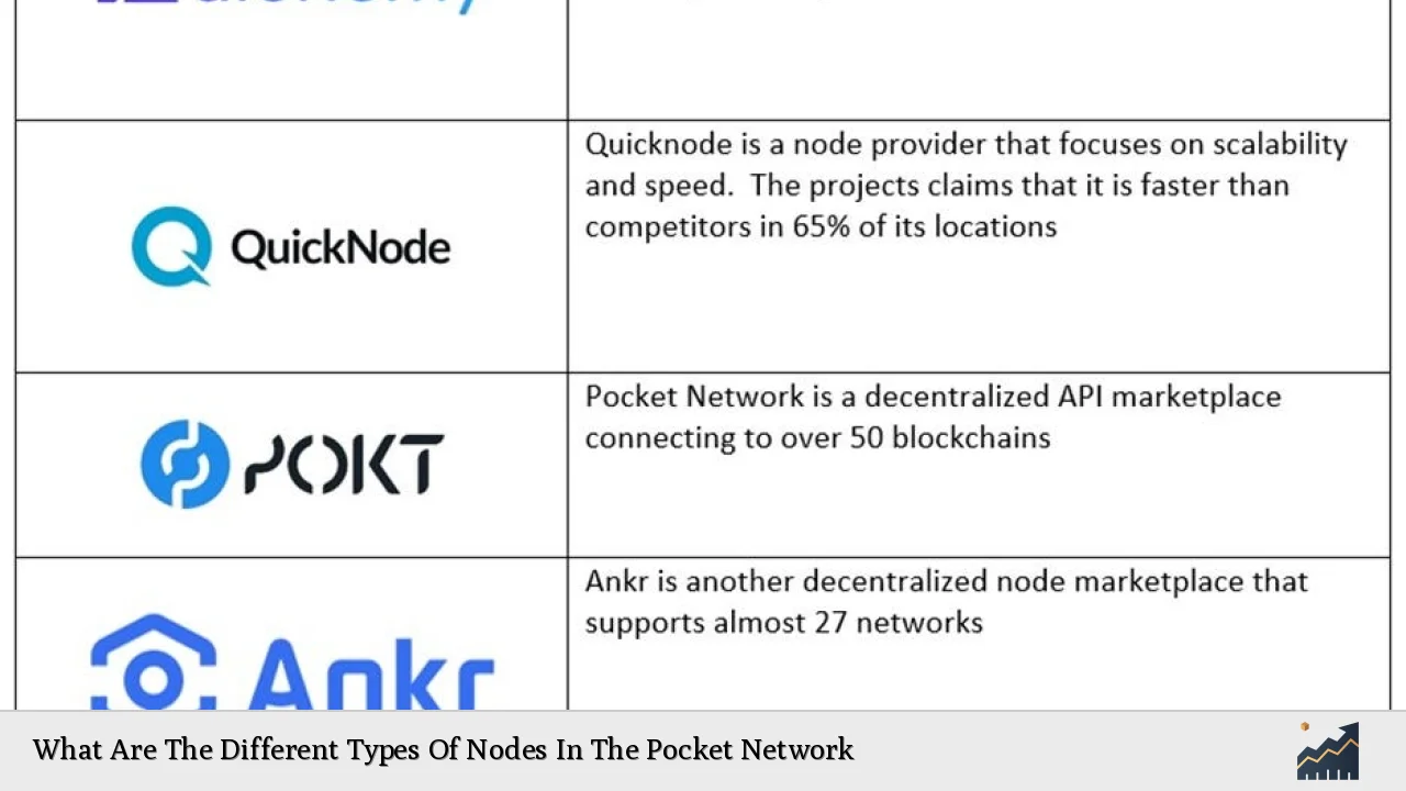 What Are The Different Types Of Nodes In The Pocket Network