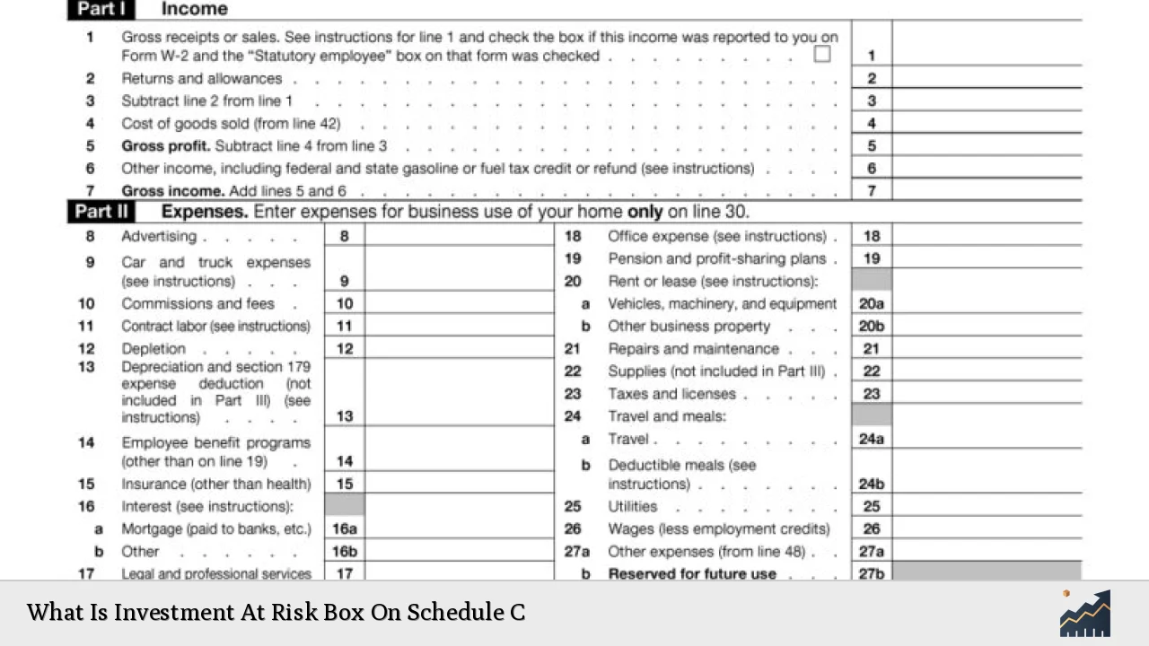 What Is Investment At Risk Box On Schedule C