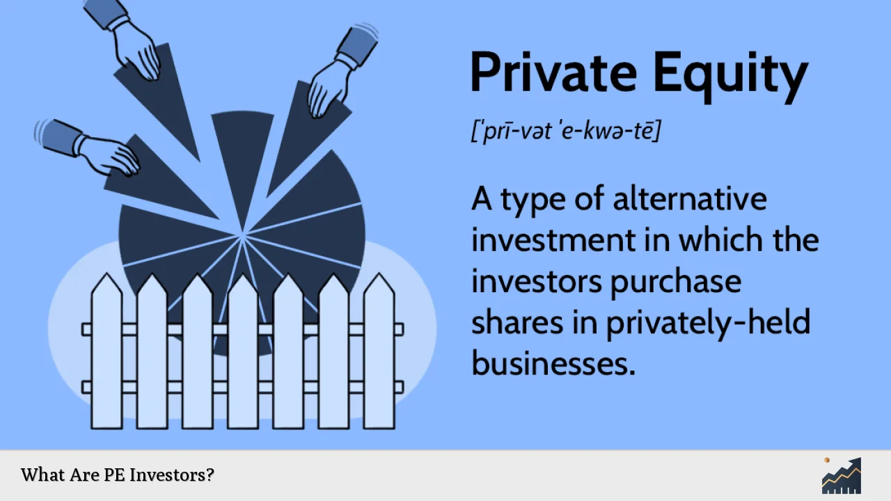 What Are PE Investors?