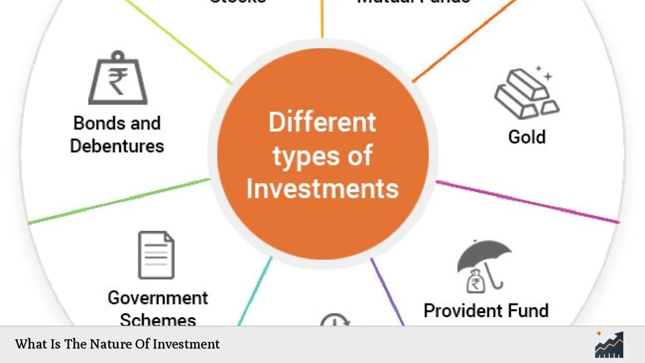 What Is The Nature Of Investment